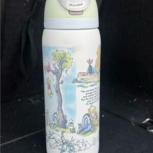 Winnie the Pooh Illustrated Stainless Water Bottle - Pastel Green & White